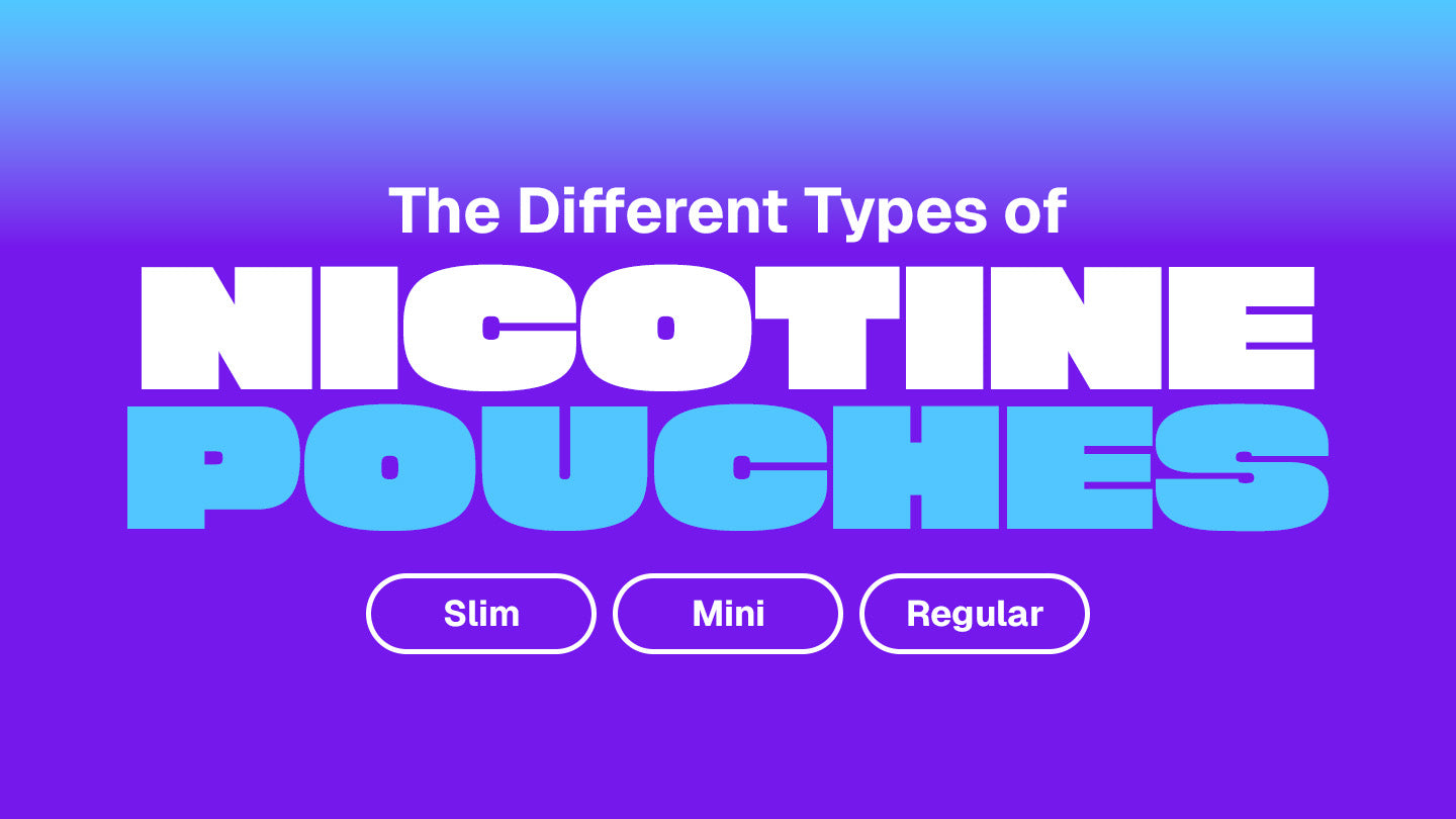 The Different Types of Nicotine Pouches text on a blog main banner with a blue background