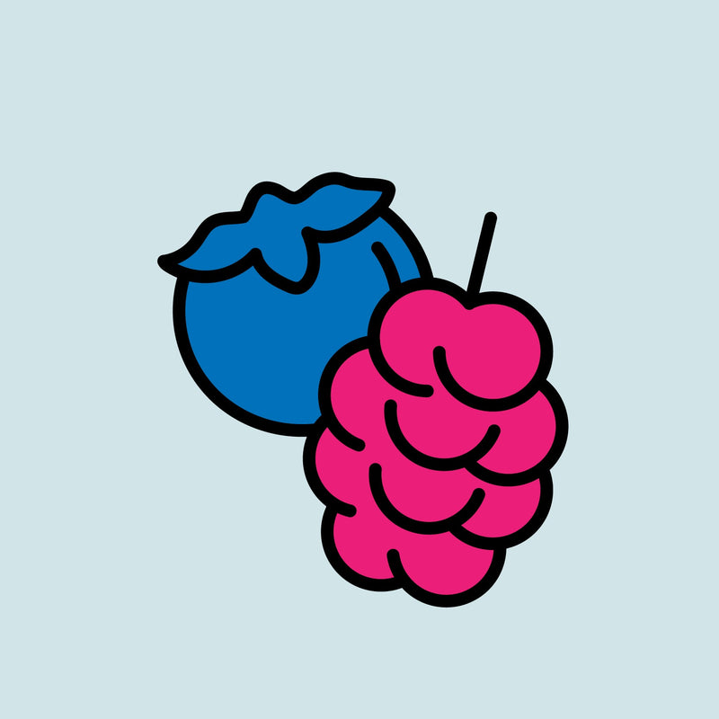 Berry Nicotine Pouches