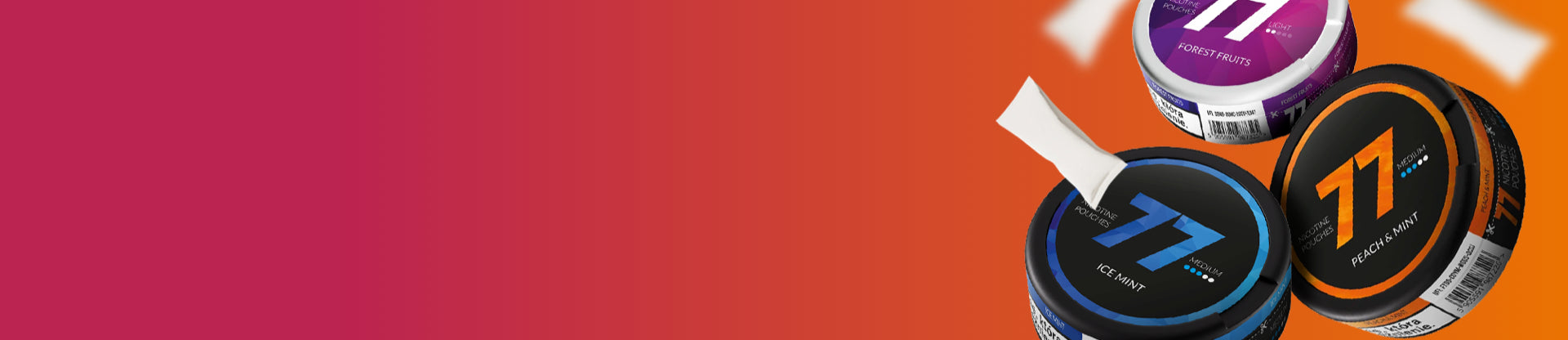 Three 77 nicotine pouch cans on a gradient background